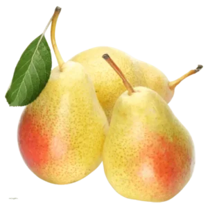 مشخصات نهال گلابی نطنزی