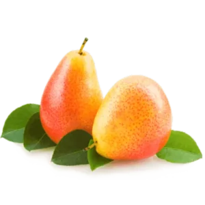 مشخصات نهال گلابی پرتقالی