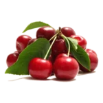 مشخصات نهال گیلاس سیلویا