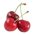مشخصات نهال گیلاس پایه رویشی گزیلا
