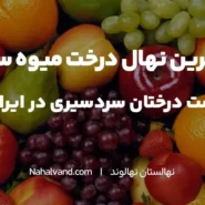 انواع نهال میوه سردسیری در ایران
