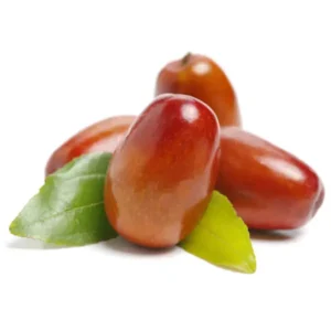 نهال عناب گلابی