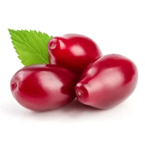 نهال زغال اخته