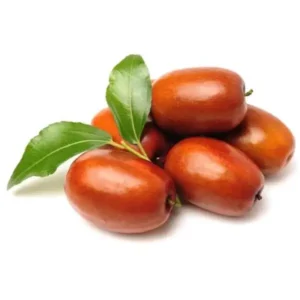 مشخصات نهال عناب قائنات