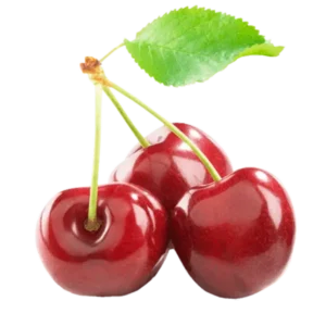 مشخصات نهال گیلاس تک دانه