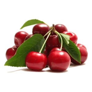 مشخصات نهال گیلاس سیلویا