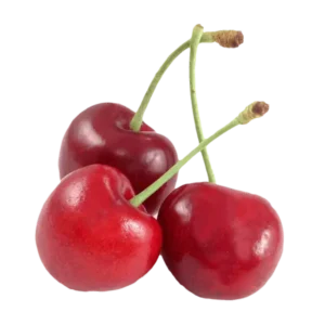 مشخصات نهال گیلاس پایه رویشی گزیلا