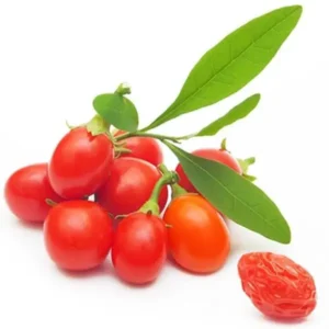 نهال گوجه بری