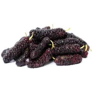 مشخصات نهال توت موزی