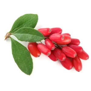 مشخصات نهال زرشک پلویی