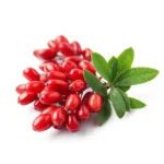 مشخصات نهال زرشک پفکی