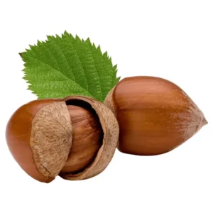 مشخصات نهال فندق انیس ترکیه