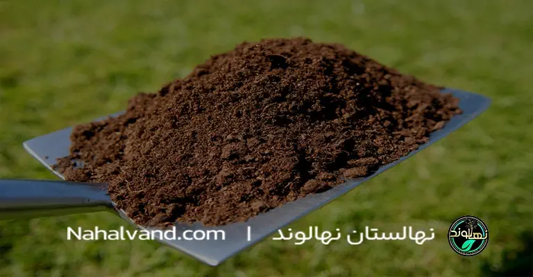 روش سنتی کوددهی درخت پسته