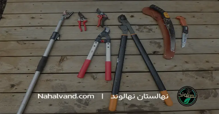 ابزارهای لازم برای هر‌س در‌خت زر‌دآلو