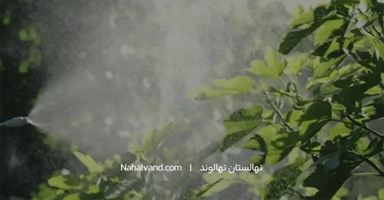 ابیاری در تابستان