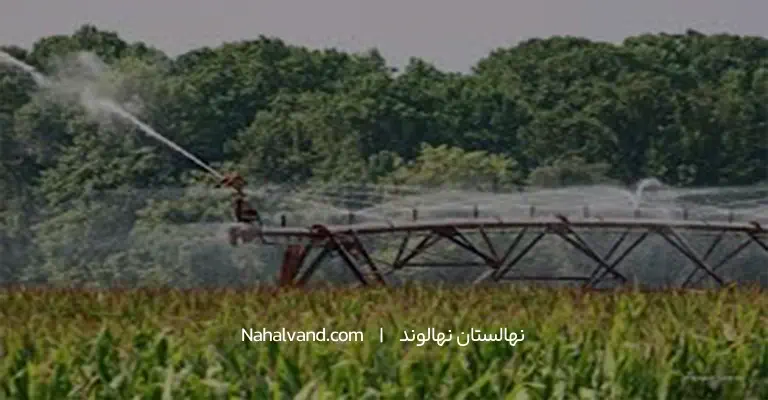ابیاری صبح 