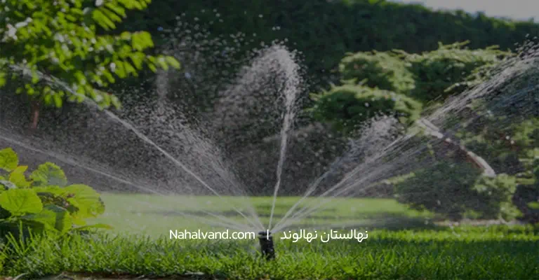 روش های ابیاری صنوبر