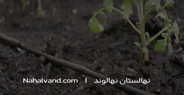 اماده سازی خاک قبل از کاشت