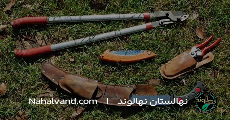 ابزارهای لازم برای هر‌س در‌خت گلابی