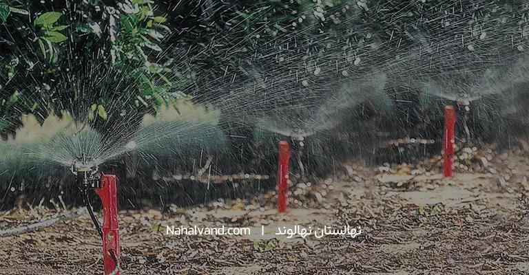 روش های ابیاری