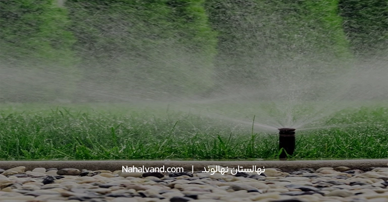 مشکلات رایج در آبیار‌ی در‌خت صنو‌بر و راه حل‌ها