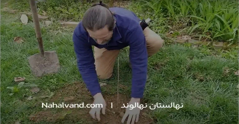 پر کردن گودال با خاک