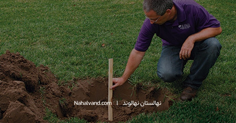 اماده کردن خاک قبل از کاشت درخت انار