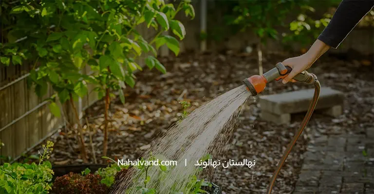 میزان ابیاری درختان انار