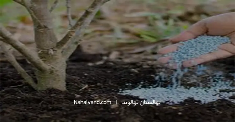 کود و روش های استفاده از ان