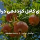 چرا کوددهی برای درختان انار ضروری است؟