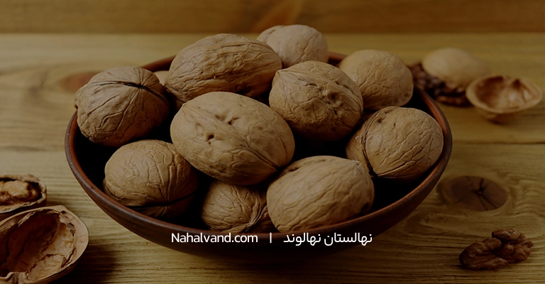 آشپزی با گردو در رؤیا
