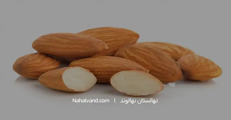 بادام درختی و مواد مغدی وکالری