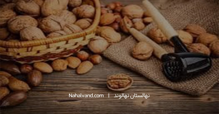جداسازی پوست خارجی