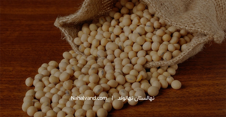 سوبا و خواص مغذی ان