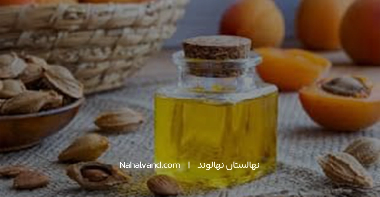 کاربرد روغن هسته زردآلو