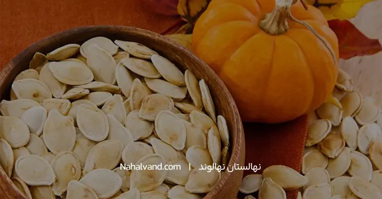 کدو تنبل و خواص