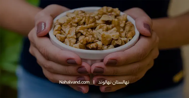 گردو و کاهش وزن