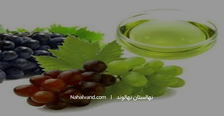 برگ مو و خواص ان برای سلامت بدن