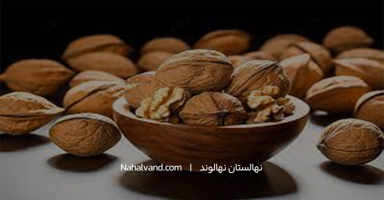 ابن سیرین و زبان نمادین گردو