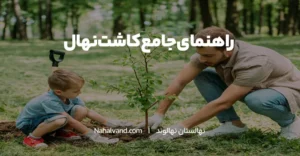 راهنمای جامع کاشت نهال