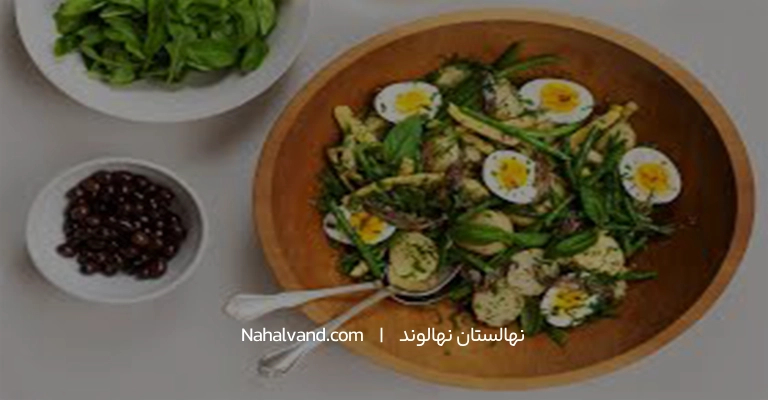 سالاد برگ بو