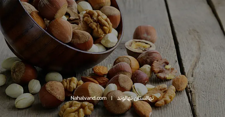 آجیل برای سلامتی