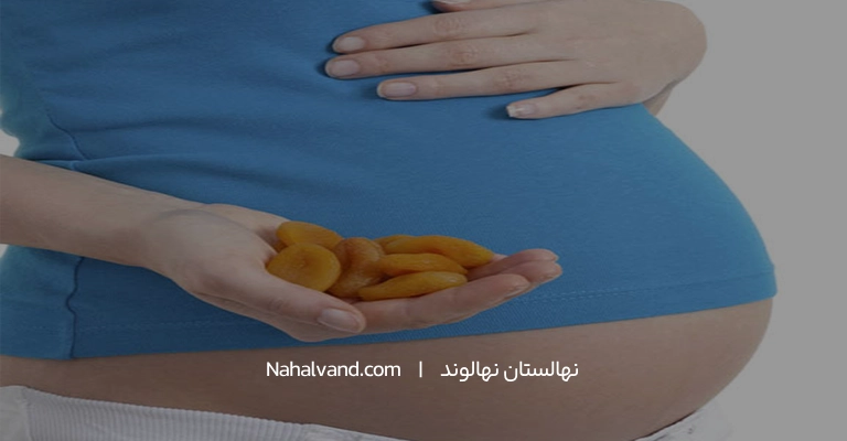 برگه زردآلو در دوران بارداری