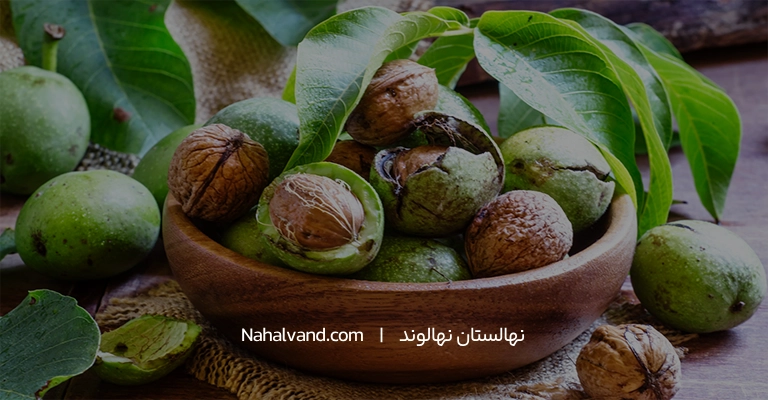 تعبیر خواب گردوهای فاسد
