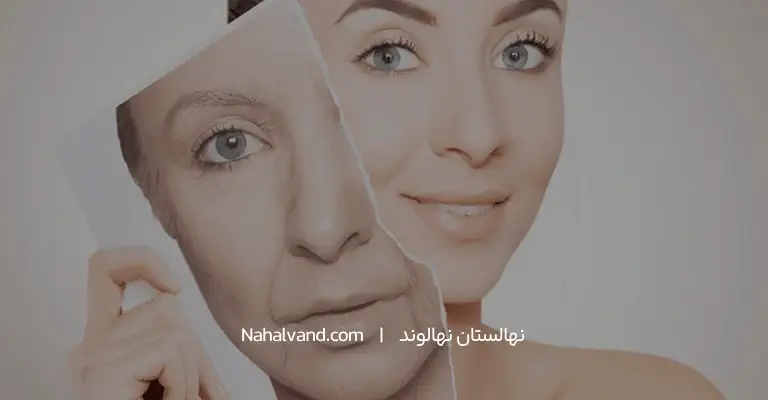 روغن گردو: 12 خاصیت شگفت‌انگیز برای سلامتی و زیبایی