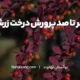کاشت و پرورش درخت زرشک :