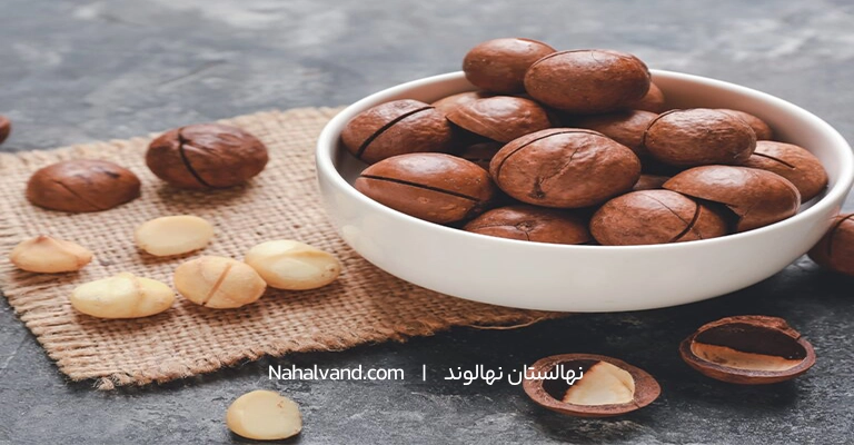 فنذوق و خواص ان