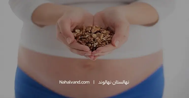 فواید گردو در دوران بارداری