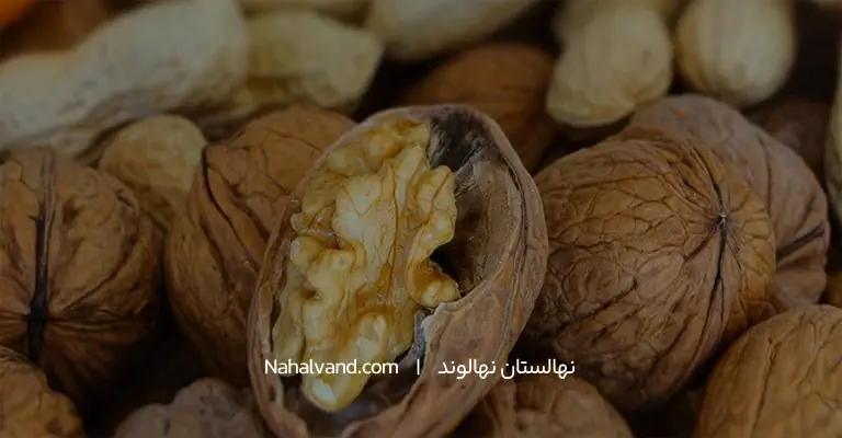 فواید گردو