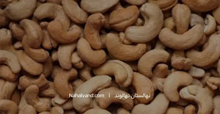 بادام هندی و موادمغذی ان